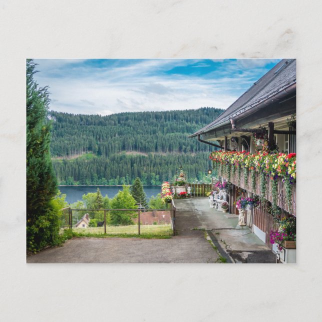 Postal Bosque negro, Alemania (Anverso)