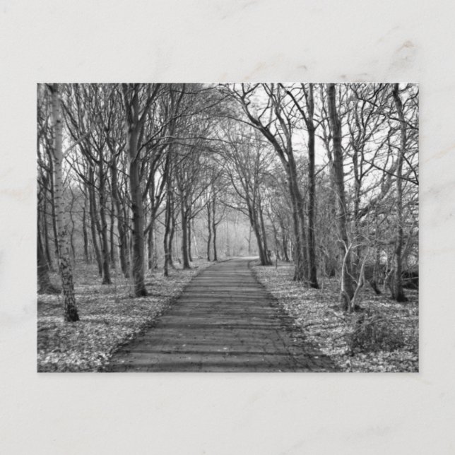 Postal Bosque, negro/blanco (Anverso)