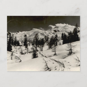 Postal Bosque nevado de montaña vista monocroma vintage