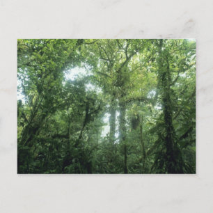 Postal Bosque Nuboso Monteverde, Costa Rica.