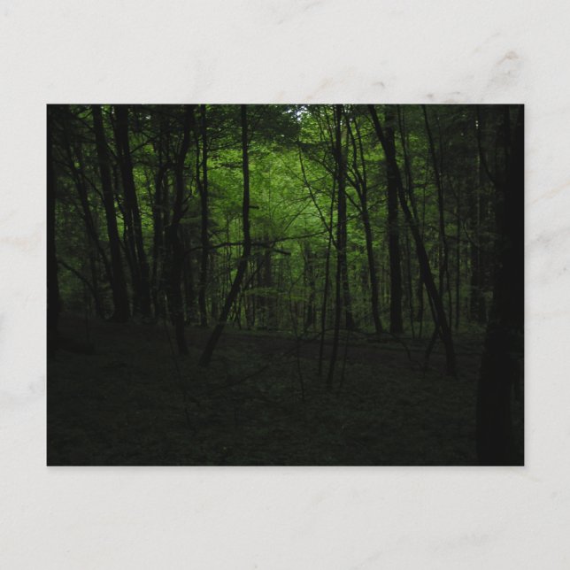 Postal Bosque oscuro abandonado (Anverso)