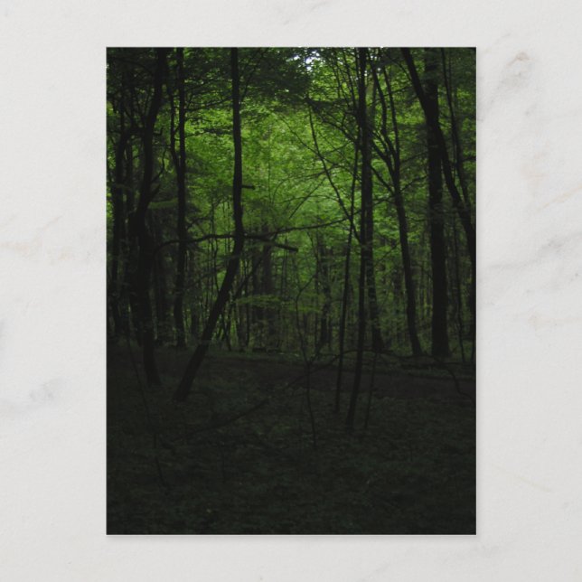 Postal Bosque oscuro abandonado (Anverso)