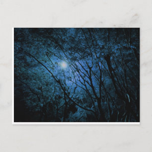 Postal bosque oscuro encantado