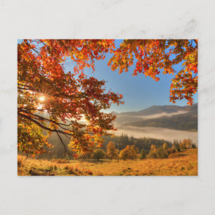 Postal Bosque otoñal en las montañas