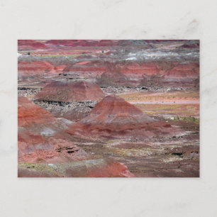 Postal Bosque Petrificado 2
