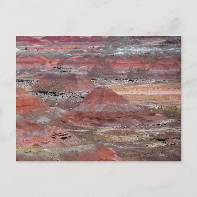 Postal Bosque Petrificado 2 (Anverso)