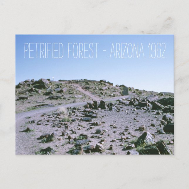 Postal Bosque Petrificado Arizona 1962 (Anverso)