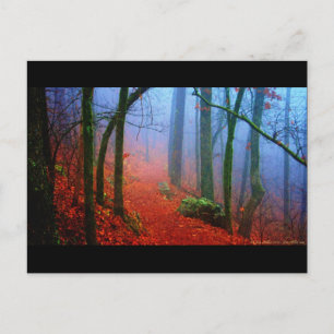 Postal Bosque Pintado Niebla Azul de Otoño