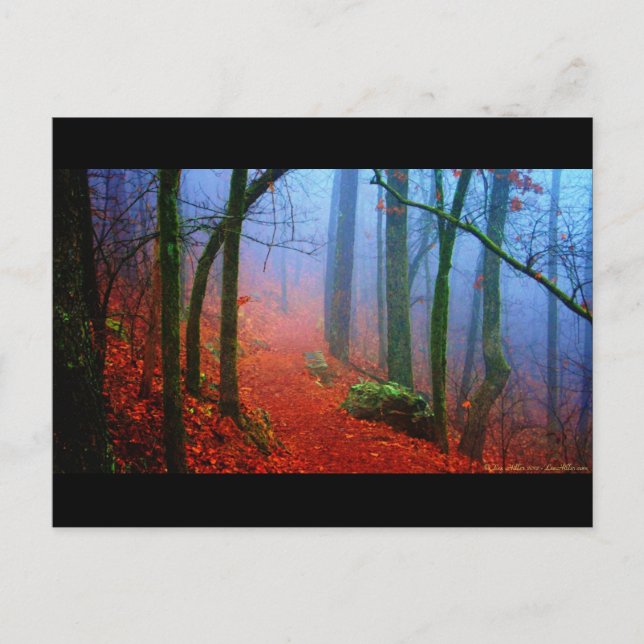 Postal Bosque Pintado Niebla Azul de Otoño (Anverso)