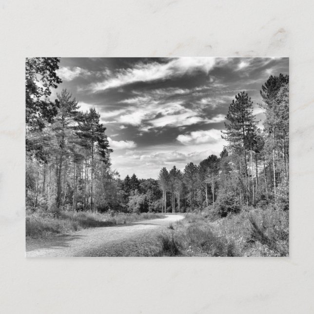 Postal Bosque plateado (Anverso)