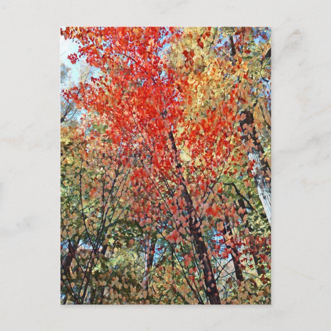 Postal bosque puntillista (Anverso)