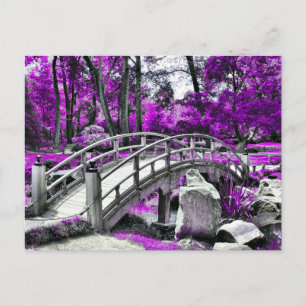 Postal Bosque Purple Dreamscape