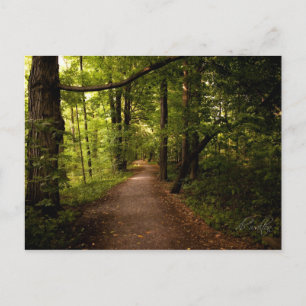 Postal Bosque sagrado, Palmira, Nueva York