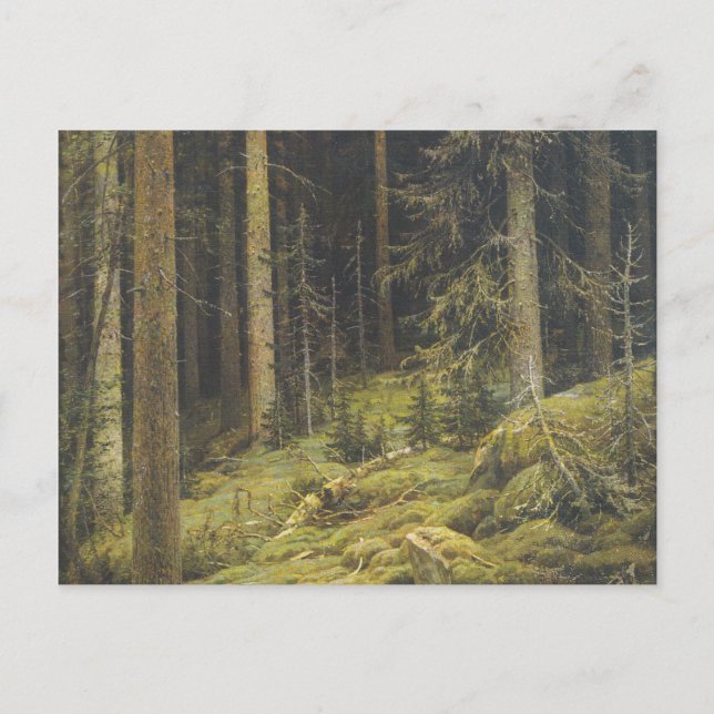 Postal Bosque Salvaje De Ivan Shishkin (Anverso)