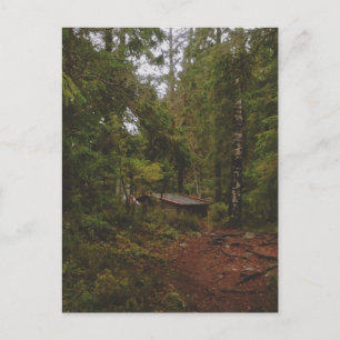 Postal Bosque sueco Moody