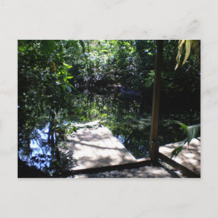 Postal Bosque tropical