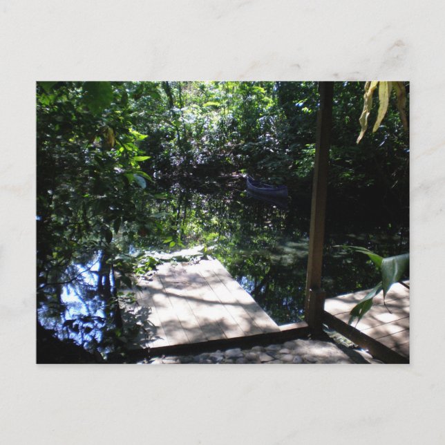 Postal Bosque tropical (Anverso)