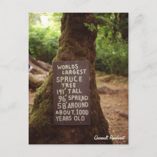 Postal Bosque tropical de Quinault