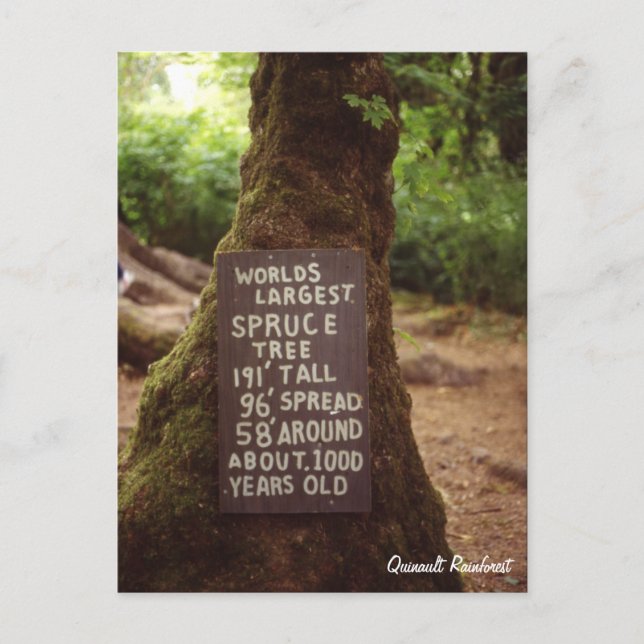 Postal Bosque tropical de Quinault (Anverso)