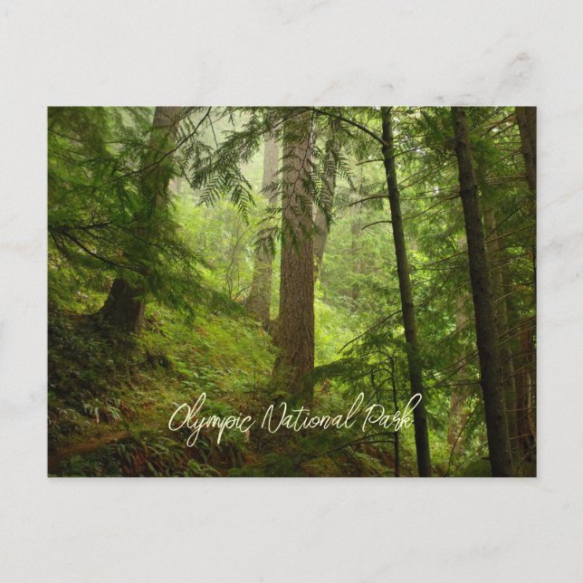 Postal Bosque Tropical del Parque Nacional Olímpico Escén (Anverso)