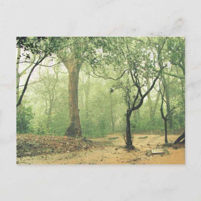 Postal Bosque tropical húmedo occidental Ghats India (Anverso)