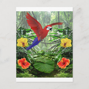 Postal Bosque tropical lluvioso