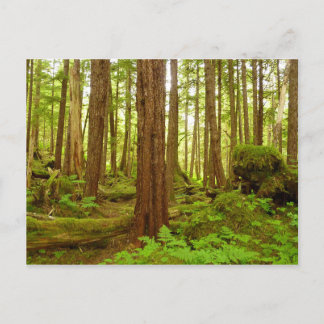 Postal Bosque tropical templado de Alaska