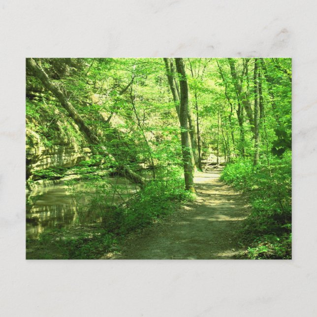 Postal Bosque verde (Anverso)