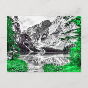 Postal Bosque verde con paisaje de montaña blanca negra