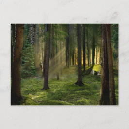 Postal Bosques de Amanecer