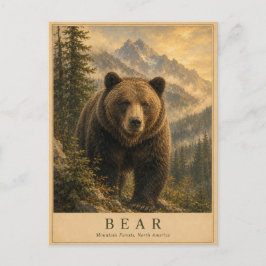 Postal Bosques de Bear Mountain VINTAGE