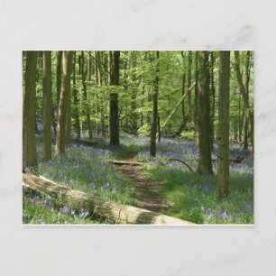 Postal Bosques de Bluebell