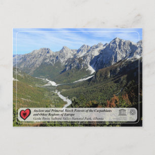 Postal Bosques de hayas antiguos y primarios - Río Gashi