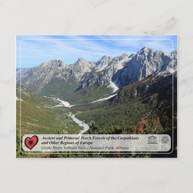 Postal Bosques de hayas antiguos y primarios - Río Gashi (Anverso)