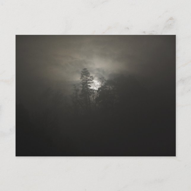 Postal Bosques de niebla (Anverso)