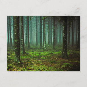 Postal Bosques encantados 1