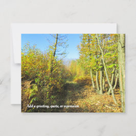 Postal Bosques iluminados por el sol en otoño - Personali
