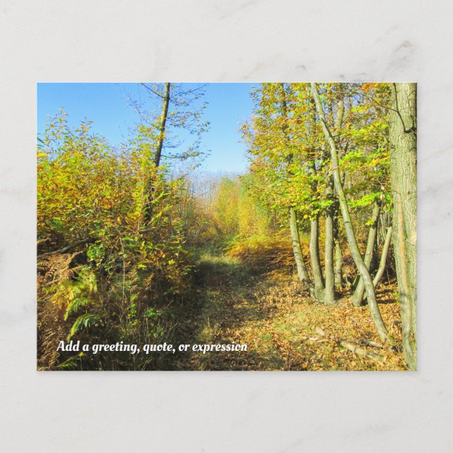 Postal Bosques iluminados por el sol en otoño - Personali (Anverso)