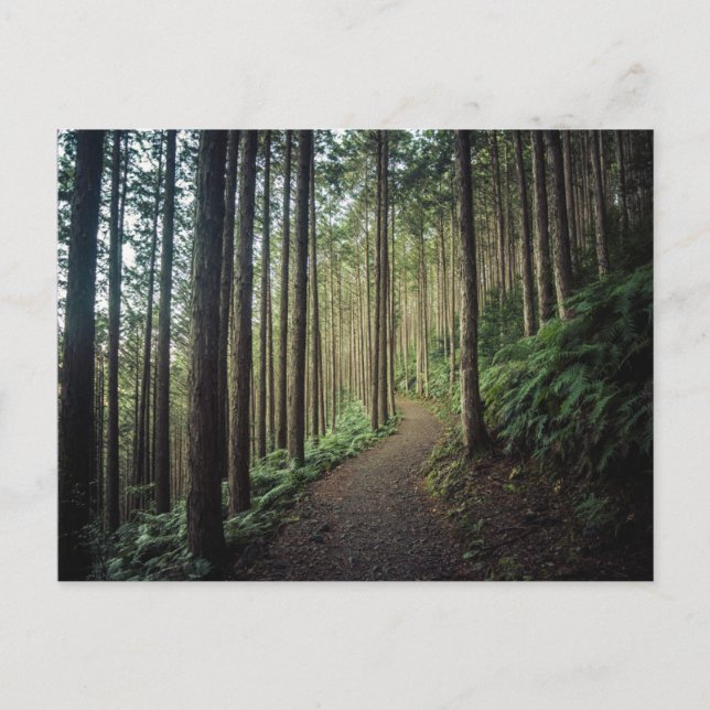 Postal Bosques | Montañas de Wakayama Japón (Anverso)