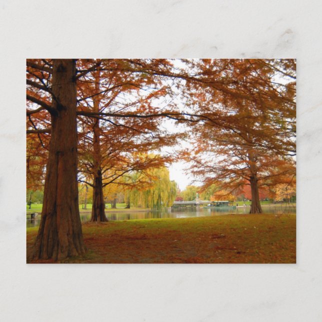 Postal Boston (Anverso)