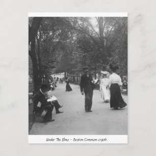 Postal Boston Common, Vintage America 1906
