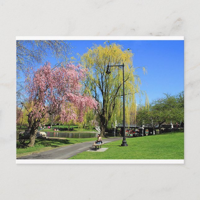 Postal Boston, Massachusetts - Boston Gardens Post Card C (Anverso)