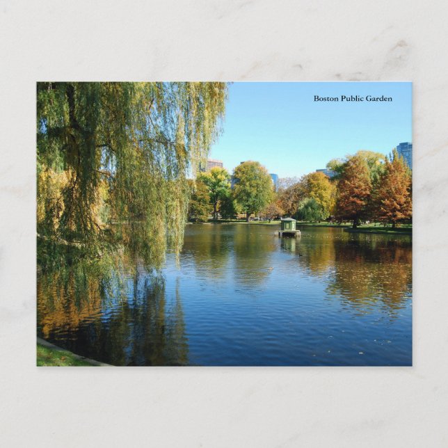Postal Boston Public Garden (Anverso)