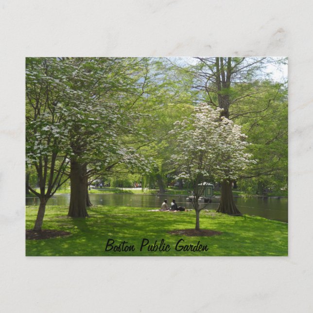 Postal Boston Public Garden (Anverso)