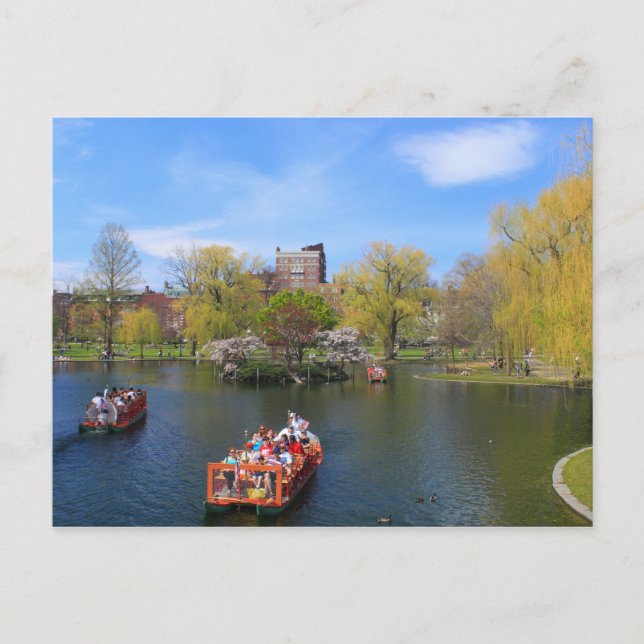 Postal Boston Public Garden: Barcos de cisnes en primaver (Anverso)