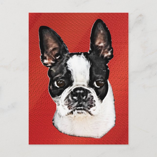 Postal Boston Terrier (Anverso)