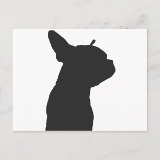 Postal Boston Terrier