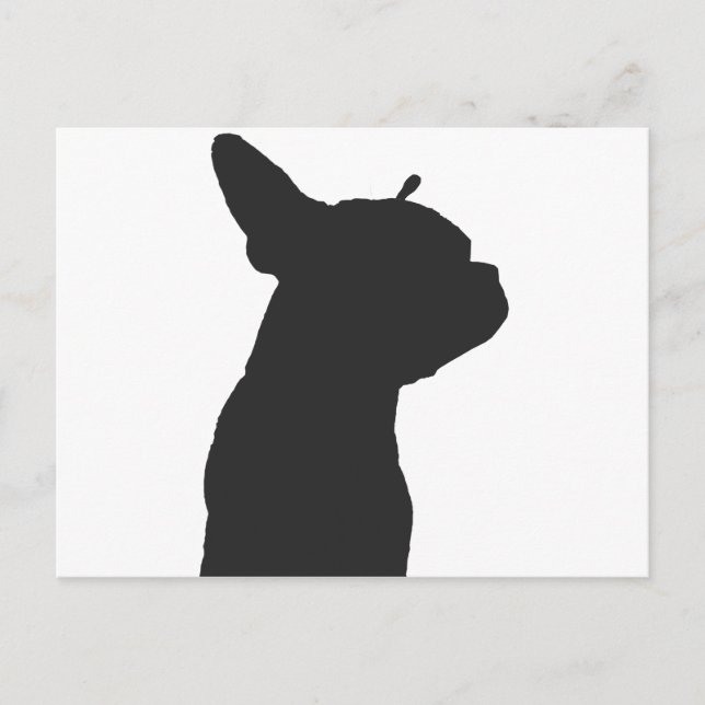 Postal Boston Terrier (Anverso)