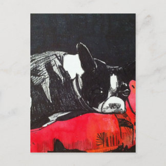 Postal Boston Terrier