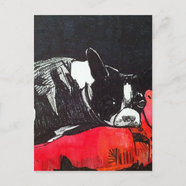 Postal Boston Terrier (Anverso)